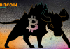 Professional Wrestler Is Bullish On Bitcoin