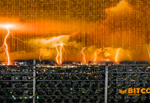 Two Different Ideas Lightning Network