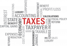 IRS Called Cryptos And NFTs A Mountain Of Fraud