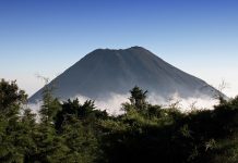 What Is El Zonte Capital? Could Keiser, Herbert, And Klippsten Shake The Market?