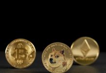 ‘Bitcoin Jesus’ Roger Ver On Why Dogecoin (DOGE) Is Superior To BTC