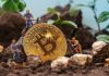 Argo Blockchain Announces 1st Quarter Financial Results