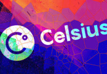 Celsius carried more risk than traditional banks, investor documents show