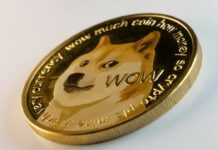 DOGE Leads SHIB and PEPE in This Important Metric: Details
