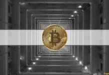 3 Reasons Why Bitcoin Bottom Might Be In: ARK Invest Crypto Analyst