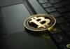 Bitcoin Inscriptions See Resurgence, Occupy 40% Of Transfers