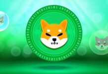 As Pepe crypto price surges, beware of a bull trap