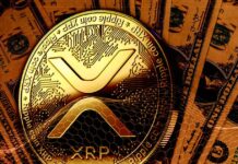 Popular Crypto Exchange Announces to Give Away 50,000 XRP Tokens as the Coin Tanks to $0.60