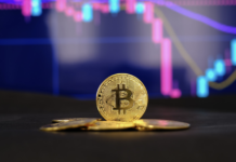 Bitcoin Hardforks, including BSV Pumping, But Why Are Investors D…