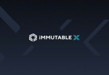 Step-by-Step Guide to Importing NFTs from MetaMask to Immutable Passport