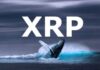 XRP Whale Takes Advantage Of Price Dip To Accumulate 410 Million Tokens