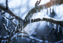 3 Reasons This Crypto Defrosts While Others Hibernate In The Run-Up To 2024