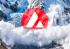 Avalanche Foundation’s Strategic Move into Meme Coin Market