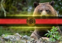 Bitcoin Price Might Crash to $50K or Even Lower: Analysts