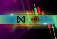 NEAR Rockets by 10% Daily, BTC Price Eyes $83K: Weekend Watch