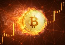 Fallen Angels Bonds Outperform High Yield Market in Q3 2025