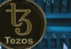 REJKT.XYZ: A New Era of Art Discovery on Tezos