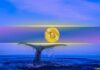 3,003 BTC Transferred Amid Aggressive Shorting