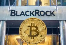 SEC Approves Options Trading on BlackRock’s Spot Bitcoin ETF IBIT