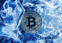 $2.4 Billion Worth Of Bitcoin Exit The Network As Bear Market Bites