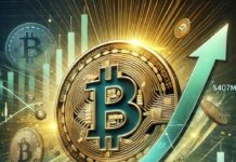 Bitcoin Leads As Crypto Fund Inflows Hit $407M—What’s Driving the Surge?