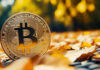 VanEck optimistic on Bitcoin’s momentum in Q4 but wary of Ethereum’s struggles