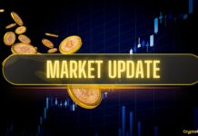 Weekly Crypto Recap After CPI Data