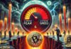 Bitcoin Extreme Fear Most Since ’22 Bear: Time To Be Greedy?