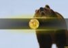 Bitcoin Drops to $120K as Open Interest Falls, Signaling Trader Caution
