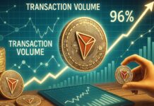 Transaction Volume Soars While Success Rate Stays Above 96%