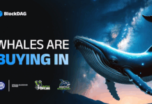 whale entry, ALGO price analysis & Pi Coin price drop