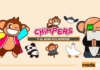Study Finds Chimpers The Most Followed NFT On Social Media