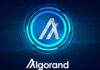 ALGO Price Prediction: Targets $0.095-$0.16 Recovery as Technical Bounce Signals Emerge