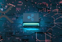 Ripple Exec Addresses Tax Issue On XRP Ledger, Where Does It Go?