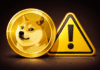 Dogecoin Is A ‘Client-Statement Risk’ For Advisers: ETF Experts