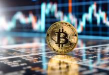 Morgan Stanley Drops Bitcoin ETF Bombshell, Who’s Really Behind The Buying?