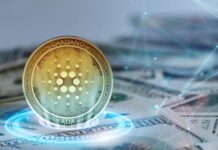 Cardano And $67.5 Million In Bitcoin, What Happened With 1,090 BTC?